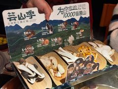 -芸山季·云南野生菌火锅(人民广场来福士店)