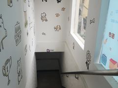 -特一安24小时宠物医院·骨科·中兽医