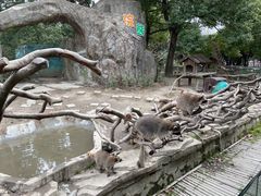 -宁波野生动物园