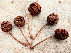 -河南省黄河迎宾馆