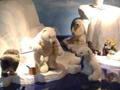 -成都泰迪熊博物馆