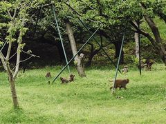 -苏州上方山国家森林公园
