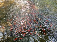 -水磨沟公园