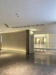 -广州美莱医疗美容医院