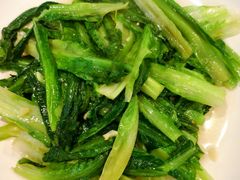 炒油麦菜-松涛居·三墩烧鹅石岐乳鸽(西区店)