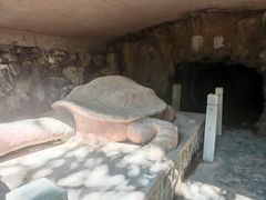 -上海佘山国家森林公园天马山园