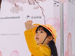 -首开·龙湖成都西宸天街