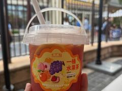 -巷子宽·酸菜鱼(迪士尼小镇店)