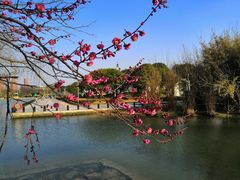 -白塘生态植物园