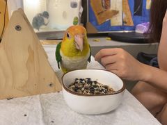 -吾叁·吉趣鸟咖(万科店)
