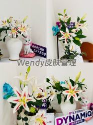 -WENDY·温迪皮肤管理