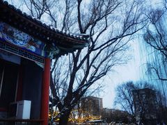 -万柳阁小馆·花园餐厅(龙潭湖店)