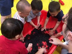 -金宝贝国际早教中心(万象城中心)