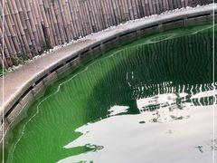 -大连金石滩绿发温泉假日酒店
