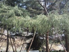 -苏州河梦清园环保主题公园