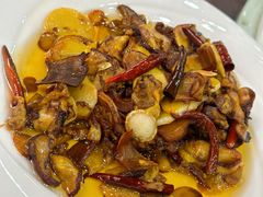 -双喜农庄·菌香园(安居家园店)