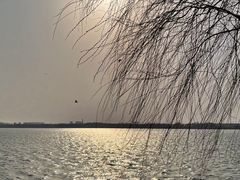 -丁香湖公园