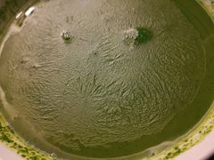 泡饭-保定会馆(秀兰店)