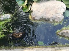 -前关湿地公园