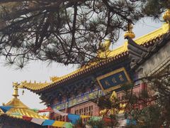 -西安市广仁寺