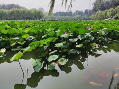 -中国农业博物馆