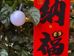 -大王油茶(二厂文创公园店)