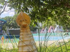 -武汉市青少年宫水上世界