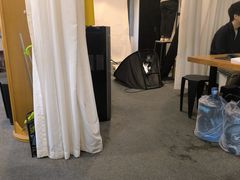 -小树照相馆·证件照(打浦桥店)