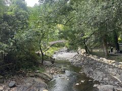 -石台牯牛降景区