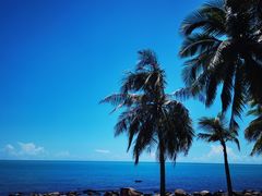 -小海豚•老字号海鲜餐厅(天涯店)