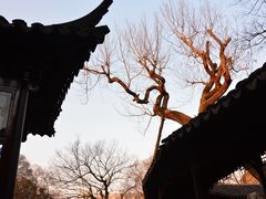 -拙政园