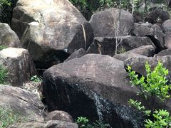 -广州白江湖森林公园