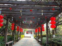 -白马涧龙池景区