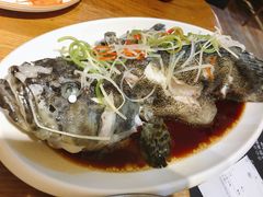 清蒸南海大龙胆-必点海鲜·鲅鱼水饺(鞍山西道店)