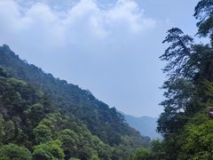 -泰山风景名胜区