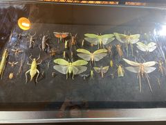 -燕莎友谊商城(亮马桥店)