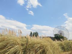 -七彩云南欢乐世界