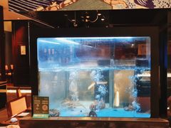 -九洲喜来登酒店湖月日餐厅
