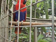 -大连森林动物园