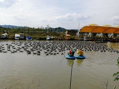 -米果果小镇