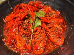 -红辣椒·川菜·火锅(张杨路店)