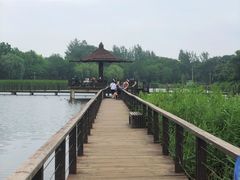 -前关湿地公园