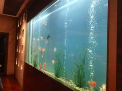 -阳澄湖费尔蒙酒店颐丰阁中餐厅(马鞍山西路店)