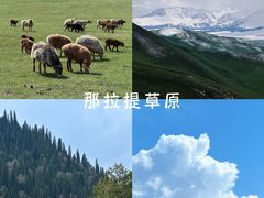 -新疆那拉提国家旅游度假区