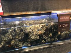水产区-徐记海鲜(陕西历史博物馆|明德门店)
