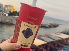 -杨梅坑