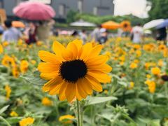 -广东省博物馆
