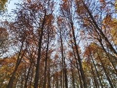 -上海海湾国家森林公园