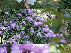 -名花谷生态庄园