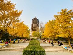 -玲珑塔公园